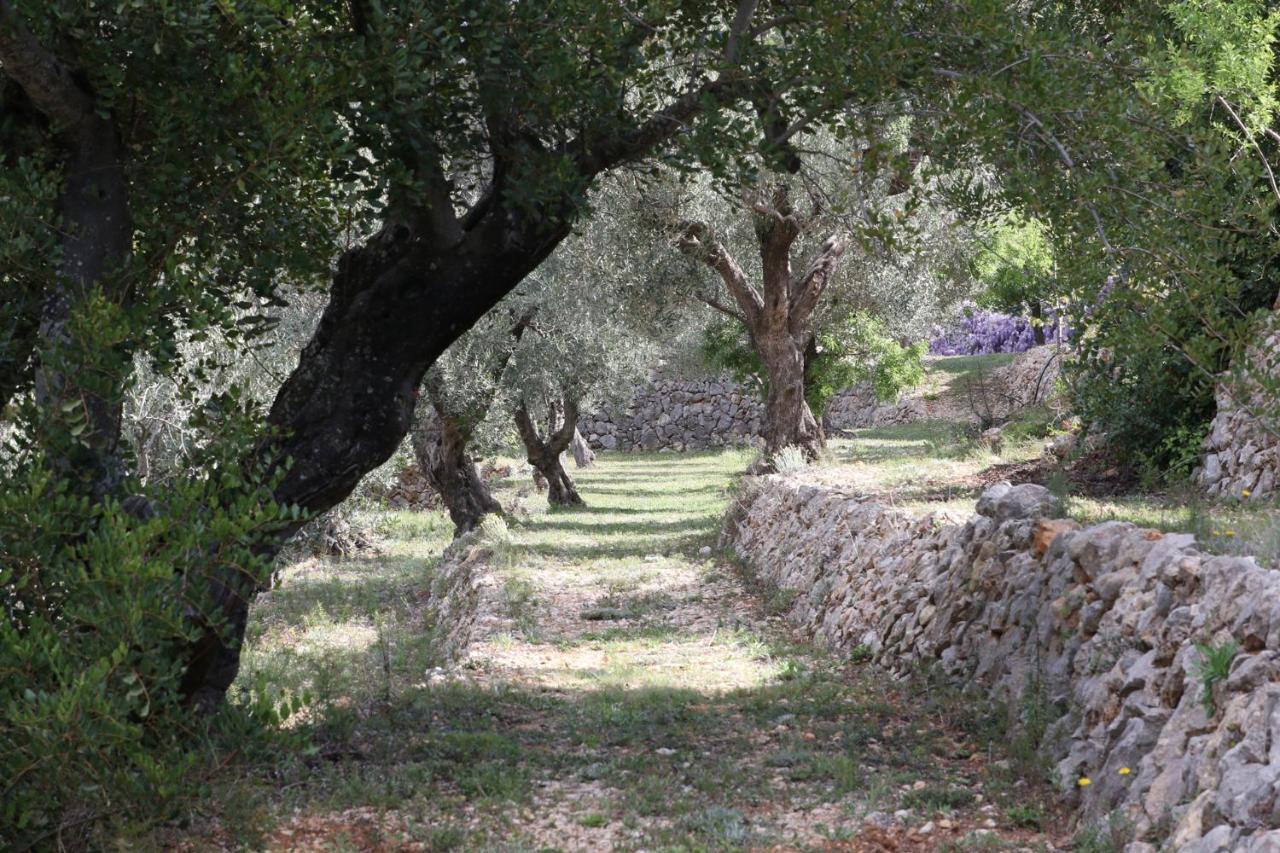 Villa Foia Vella - Adults Only Benigembla Экстерьер фото
