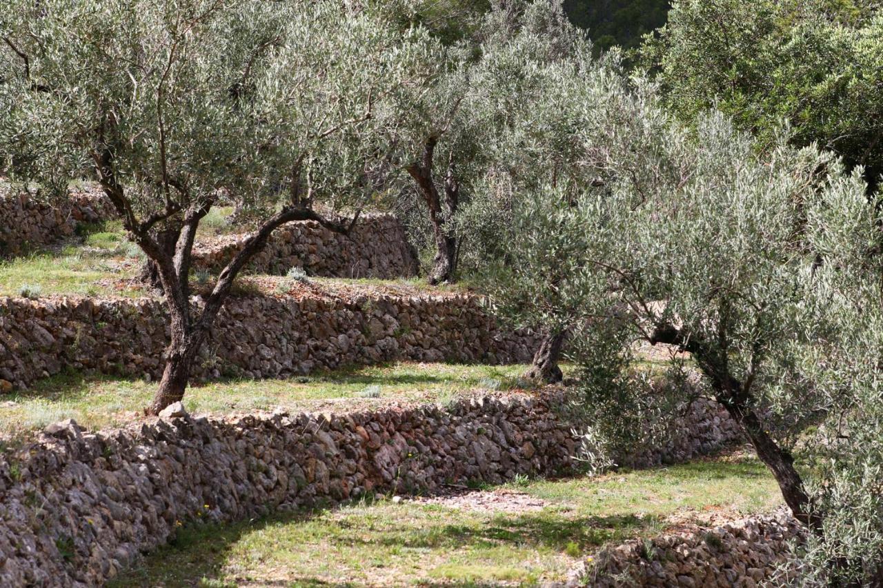 Villa Foia Vella - Adults Only Benigembla Экстерьер фото